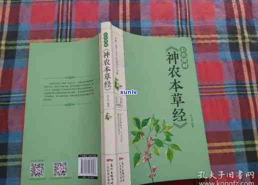 神农本草经荼，探索传统医学：神农本草经的魅力与价值