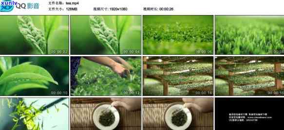 适合茶叶视频的特效-适合茶叶视频的特效软件