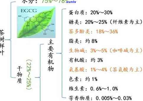 茶叶里的成分和功效有哪些，探秘茶叶：了解其成分与神奇功效