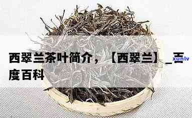 西翠兰茶叶是绿茶还是白茶，西翠兰：绿茶还是白茶？一次深入了解