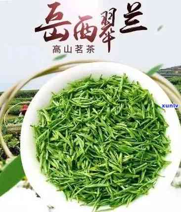 西翠兰茶叶的功效-西翠兰茶的功效与作用