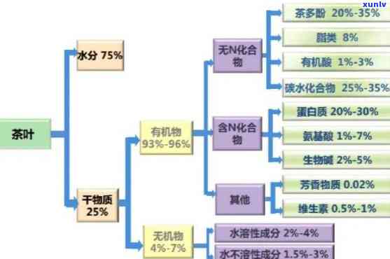 深入了解：茶叶所含成分及功效是什么？