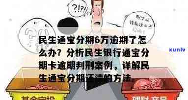 民生通宝分期逾期协商：案例分析与结果