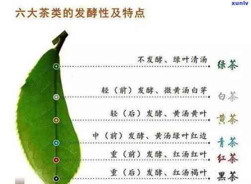 深入了解：不同茶叶的保健功效区别及图片展示