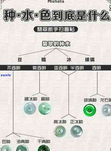 三色翡翠种水八个等级详解：怎样区分、选购与保养？