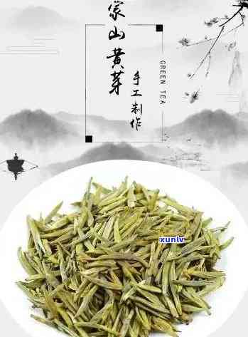 山黄芽茶叶好吗，探究山黄芽茶叶的品质：它真的好吗？