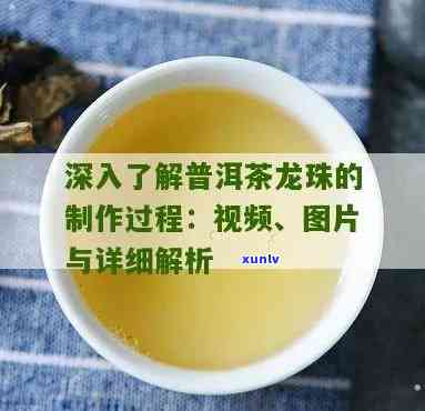 双龙戏珠茶怎么做的，《详细教程：如何 *** “双龙戏珠”茶》