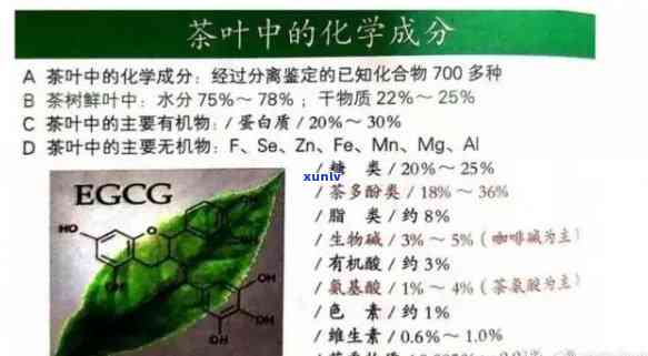 茶叶化学成分与功效分析，深入解析：茶叶的化学成分与其神奇的功效