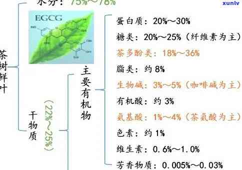 深入解析：茶叶化学成分与特征性成分的关系、区别及含义