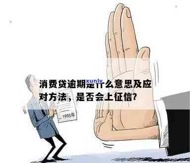 消费贷逾期是什么意思，「消费贷逾期」的含义解析