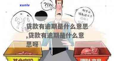 消费贷逾期是什么意思，「消费贷逾期」的含义解析