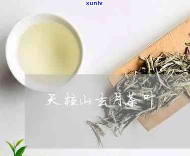 天柱山弦月茶：特点与评价