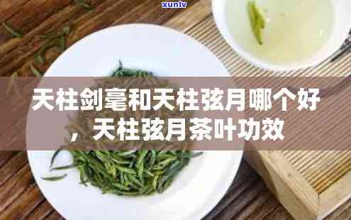 天柱山弦月茶叶功效-天柱山弦月茶怎么样