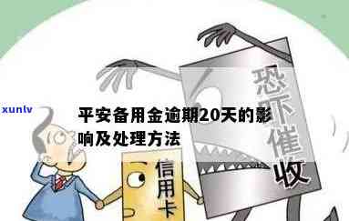 平安备用金逾期会有什么结果，深入熟悉：平安备用金逾期的严重结果