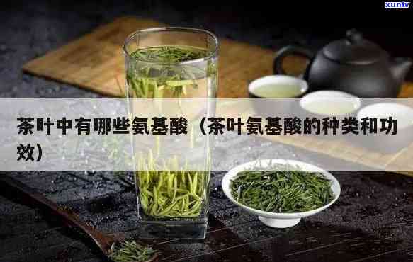 茶叶中氨基酸的功效有哪些，探究茶叶中氨基酸的神奇功效