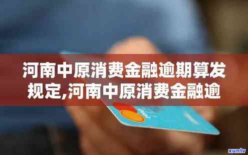 中原消费逾期被起诉违约金计算  及金额说明