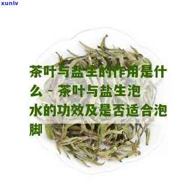 盐加茶叶泡脚的功效-盐加茶叶水泡脚治什么功效