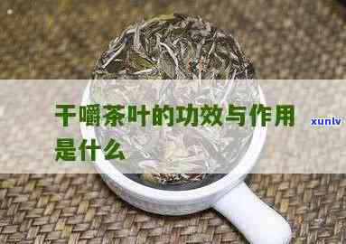 茶叶干嚼有什么功效和作用，茶叶干嚼：揭秘其神奇的功效与作用