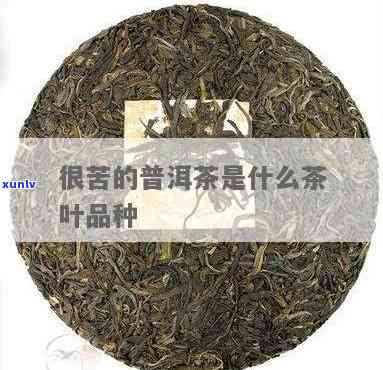 特别苦的茶叶有哪些品种？是否苦味即为低档茶？