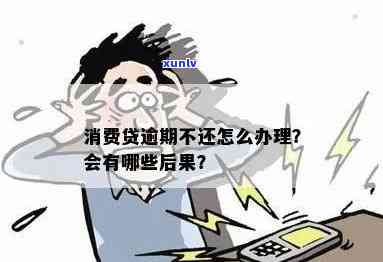 消费贷逾期不还：结果、解决及作用