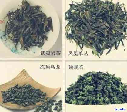 茶叶有多少个品种图片，探索世界之：了解茶叶的多种品种，欣美丽图片