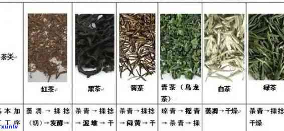 茶叶有多少个品种图片，探索世界之：了解茶叶的多种品种，欣美丽图片