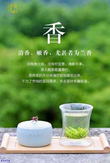 茶叶聚香技巧：如何让茶叶更香？