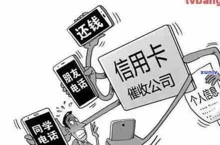 信用消费服务已逾期：解释与作用