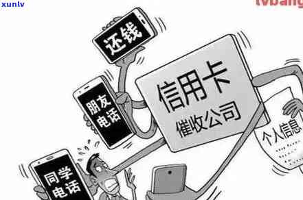 信用消费服务已逾期：解释与影响