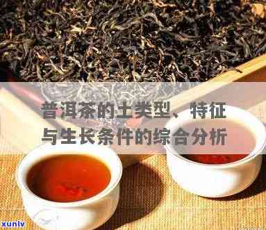 茶叶是什么性质土类型，探讨茶叶生长的适宜土类型：性质解析