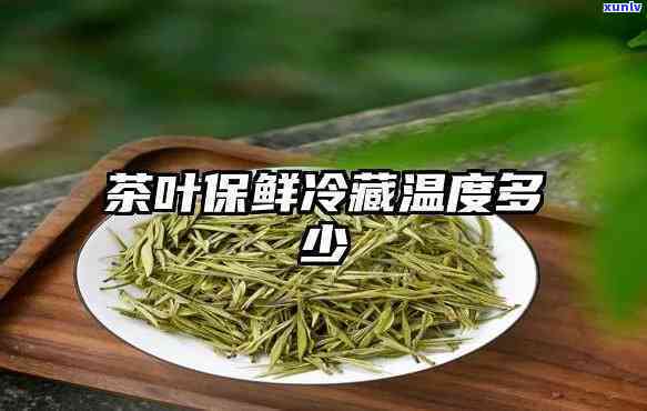 茶叶冷藏多少度-茶叶冷藏多少度呢