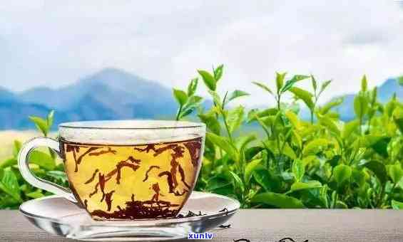 早上喝茶叶茶好不好，探讨早上的饮品选择：茶叶茶是不是适合您？