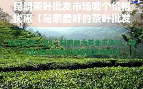 昆明哪里茶叶比较好-昆明哪里茶叶比较好卖