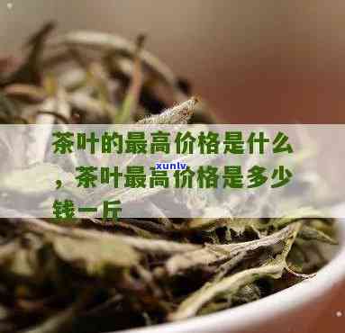 在卖茶叶能卖多少？一斤、一个月分别售价如何？