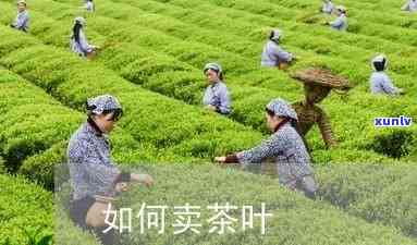 在卖茶叶能卖吗-在卖茶叶能卖吗现在