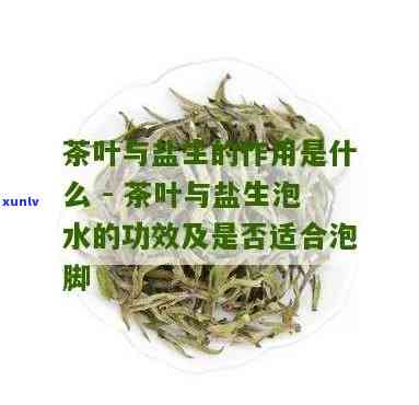 茶叶加盐泡水的功效-茶叶加盐泡水的功效与作用