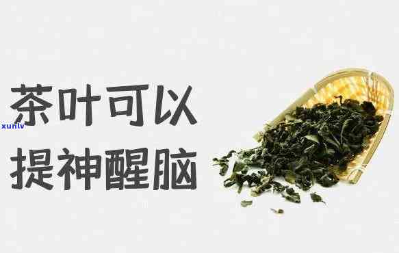 茶叶喝有什么功效和作用，探索茶叶的神奇功效与作用：从提神醒脑到健养生