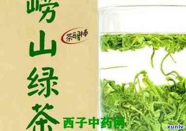 崂山茶：功效全面解析