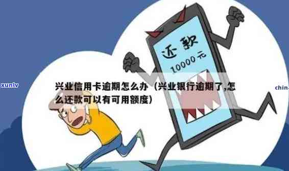 翡翠冰果绿与高冰果绿的区别：宝石鉴定与价值解析