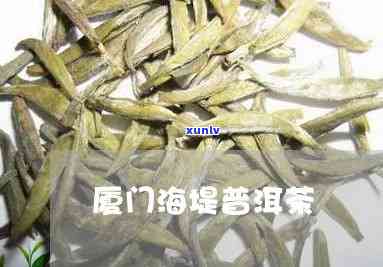 厦门海堤茶叶好不好-厦门海堤茶叶简介