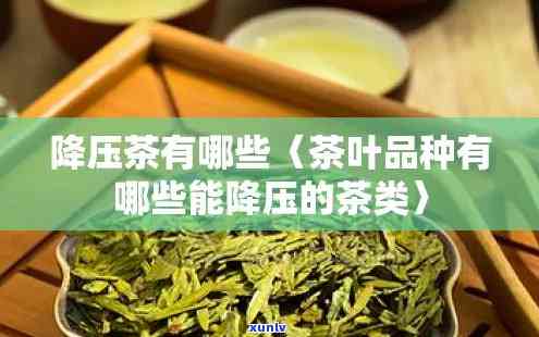 哪一种茶叶降血压，探讨降压茶：哪一种茶叶效果？