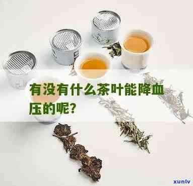 哪种茶叶降血压-哪种茶叶降血压喝