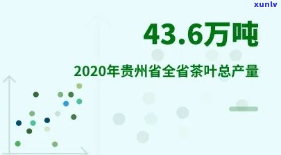 贵州茶叶生产规模到底如何？探讨其现状与未来发展