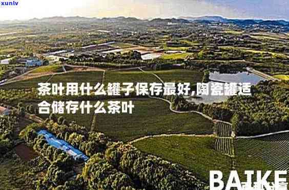 玻璃茶叶罐场：地址与位置全攻略