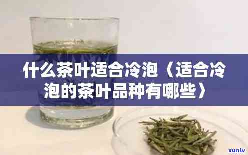 冷泡茶叶哪种比较好-冷泡茶叶哪种比较好喝