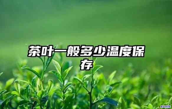 茶叶一般多少度保？度对茶叶保存的影响解析