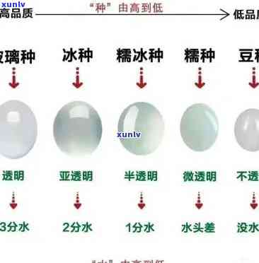 翡翠糯种等级划分，深入解析：翡翠糯种的等级划分及其特点