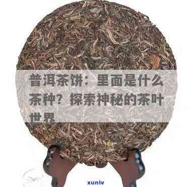 一个饼的茶叶叫什么茶，探秘茶叶世界：一个饼的茶叶究竟是何种茶？