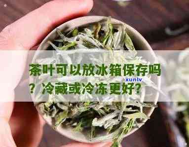 茶叶是不是要放冷冻保存，茶叶需要冷藏保存吗？