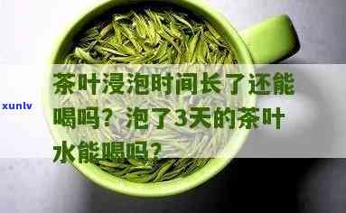 茶叶能长时间泡水里吗？影响因素与安全问题解析